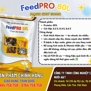 THỨC ĂN LƯƠN BỘT – FeedPRO 80L Protein … 50%  Mạnh như SUMO – Lớn nhanh, khỏe mạnh, đồng đều kích cỡ