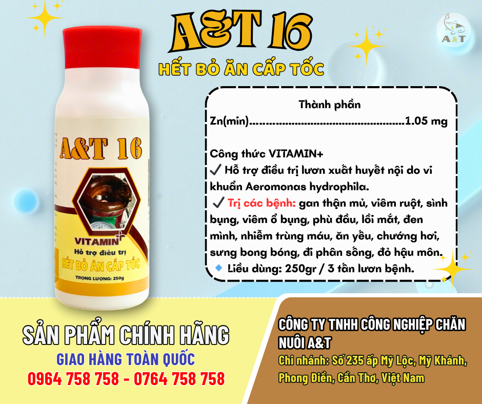 A&T 16 Hỗ trợ điều trị – Hết bỏ ăn cấp tốc