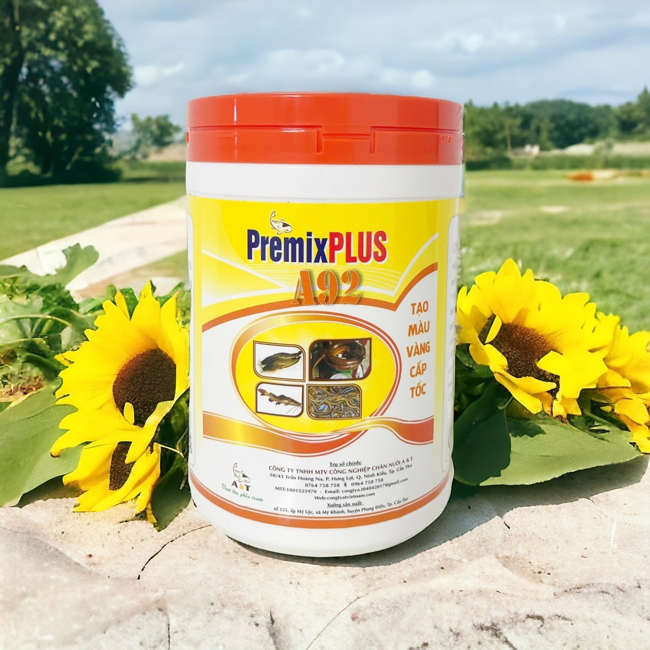 PremixPLUS A92 Tạo màu vàng cấp tốc - Image 2