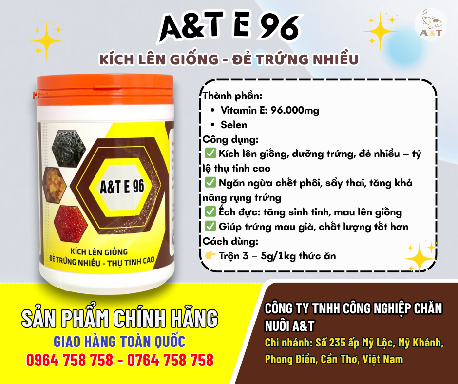 A&T E 96 KÍCH LÊN GIỐNG – ĐẺ TRỨNG NHIỀU – THỤ TINH CAO