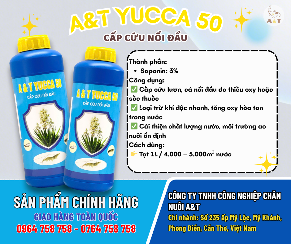 A&T YUCCA 50 CẤP CỨU NỔI ĐẦU – LOẠI TRỪ KHÍ ĐỘC CẤP TỐC