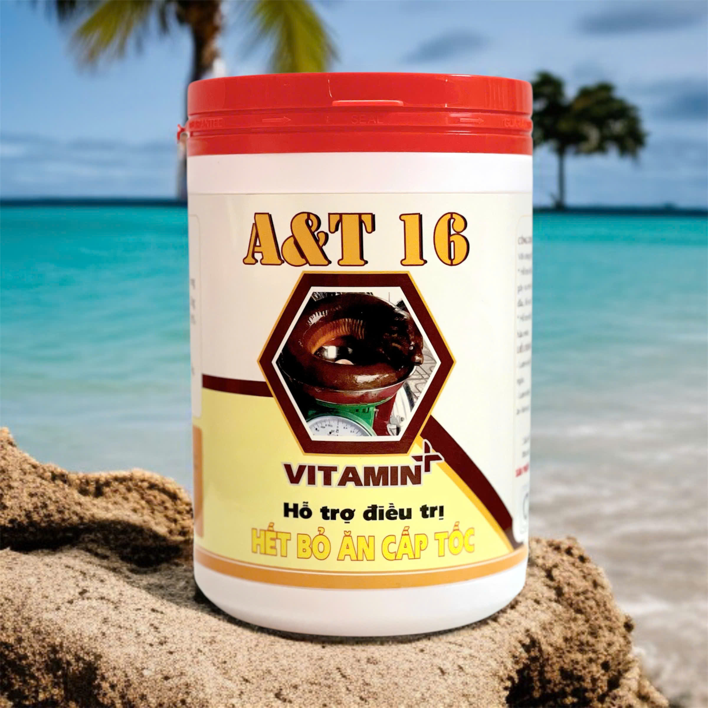 A&T 16 Hỗ trợ điều trị – Hết bỏ ăn cấp tốc - Image 3